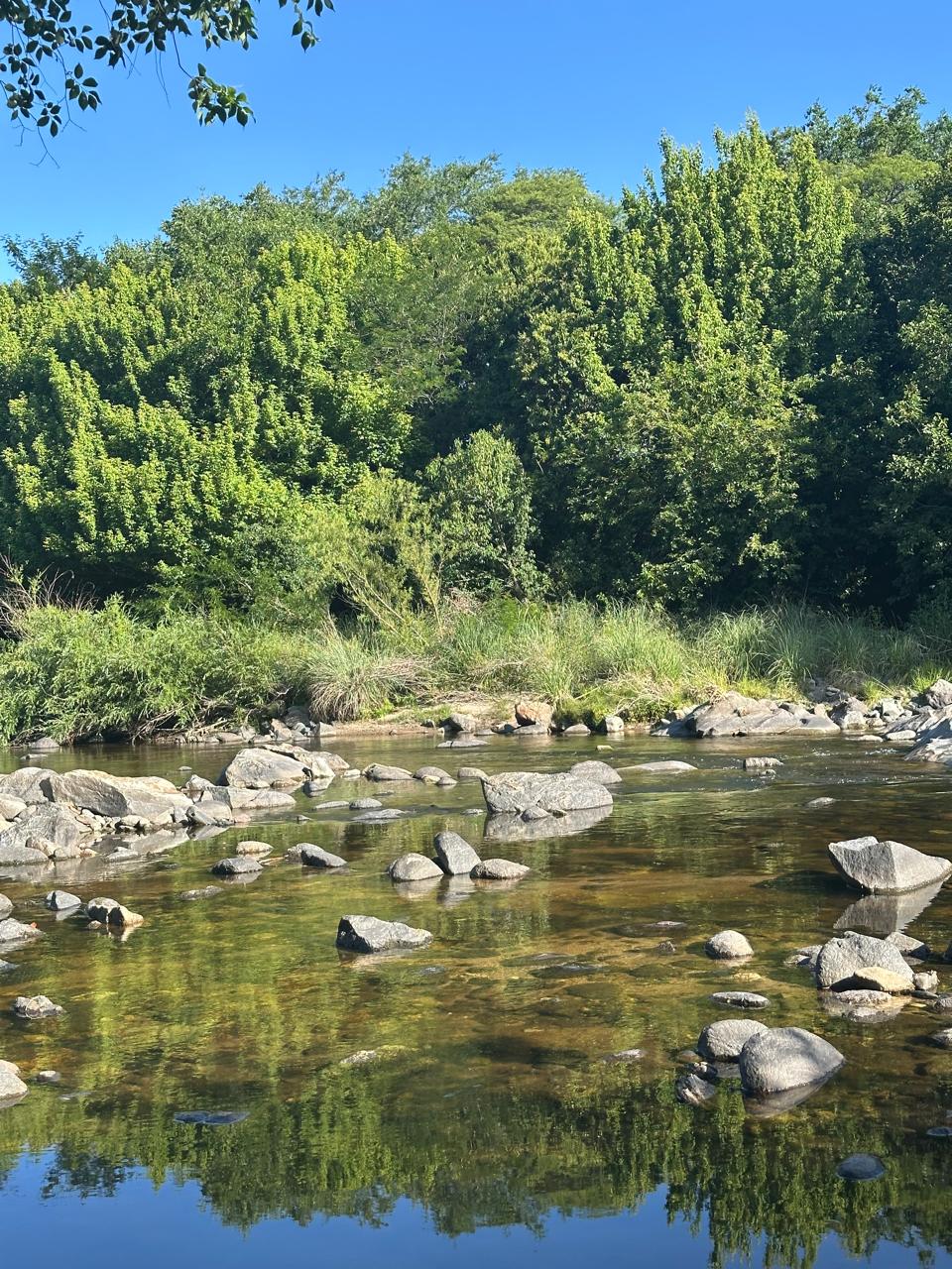 Arroyo de la Estancia Vieja