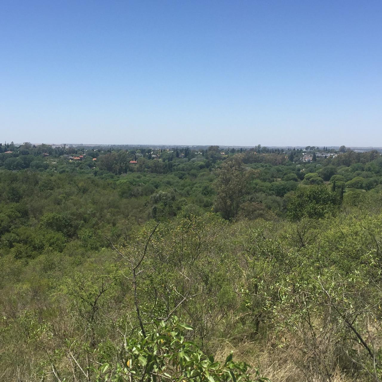 Vista ciudad