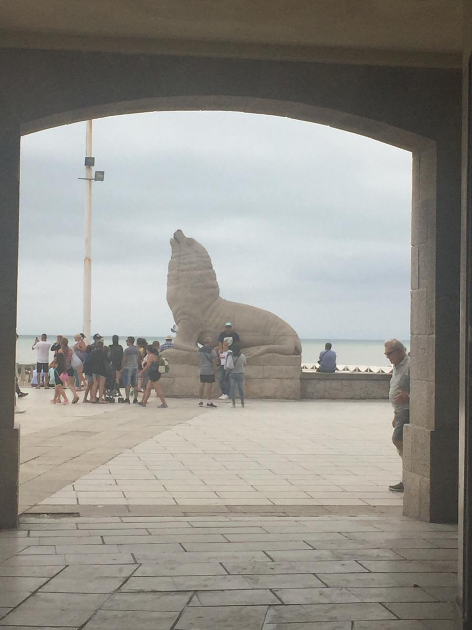 Mar del Plata