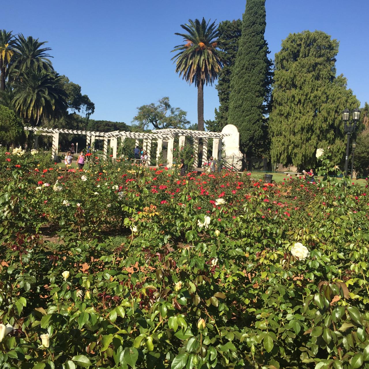 El Rosedal