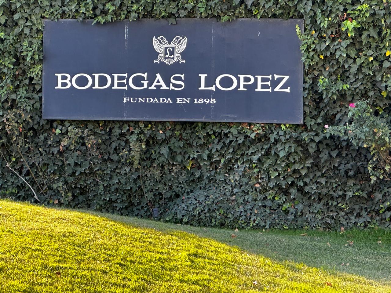 Bodegas